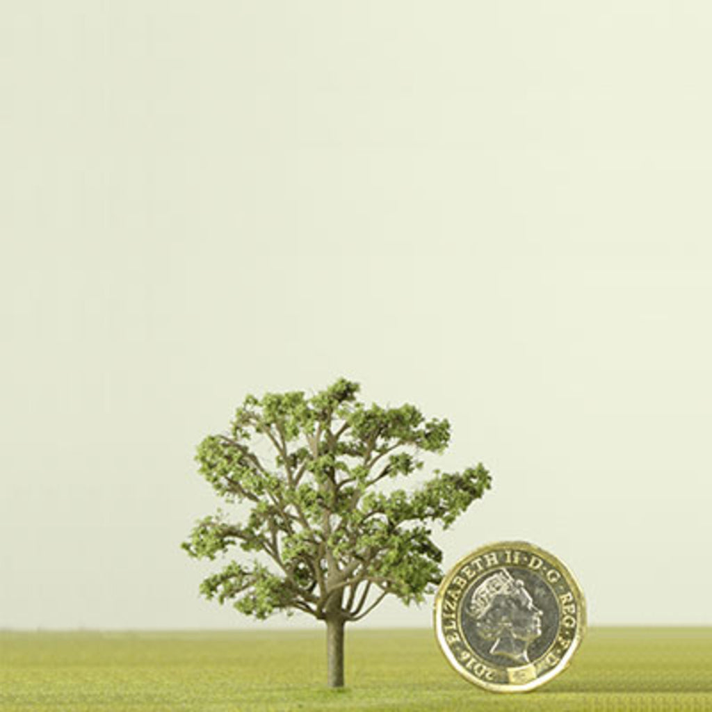 Oak Model Tree 50mm