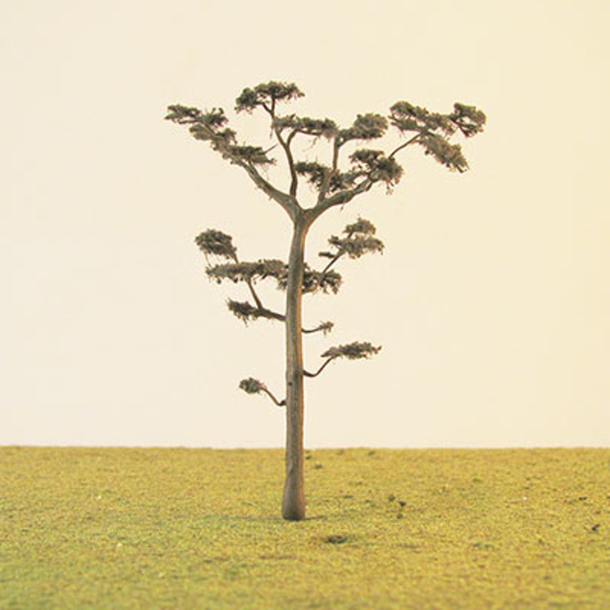 Scots Pine Model Tree - 0.42mm