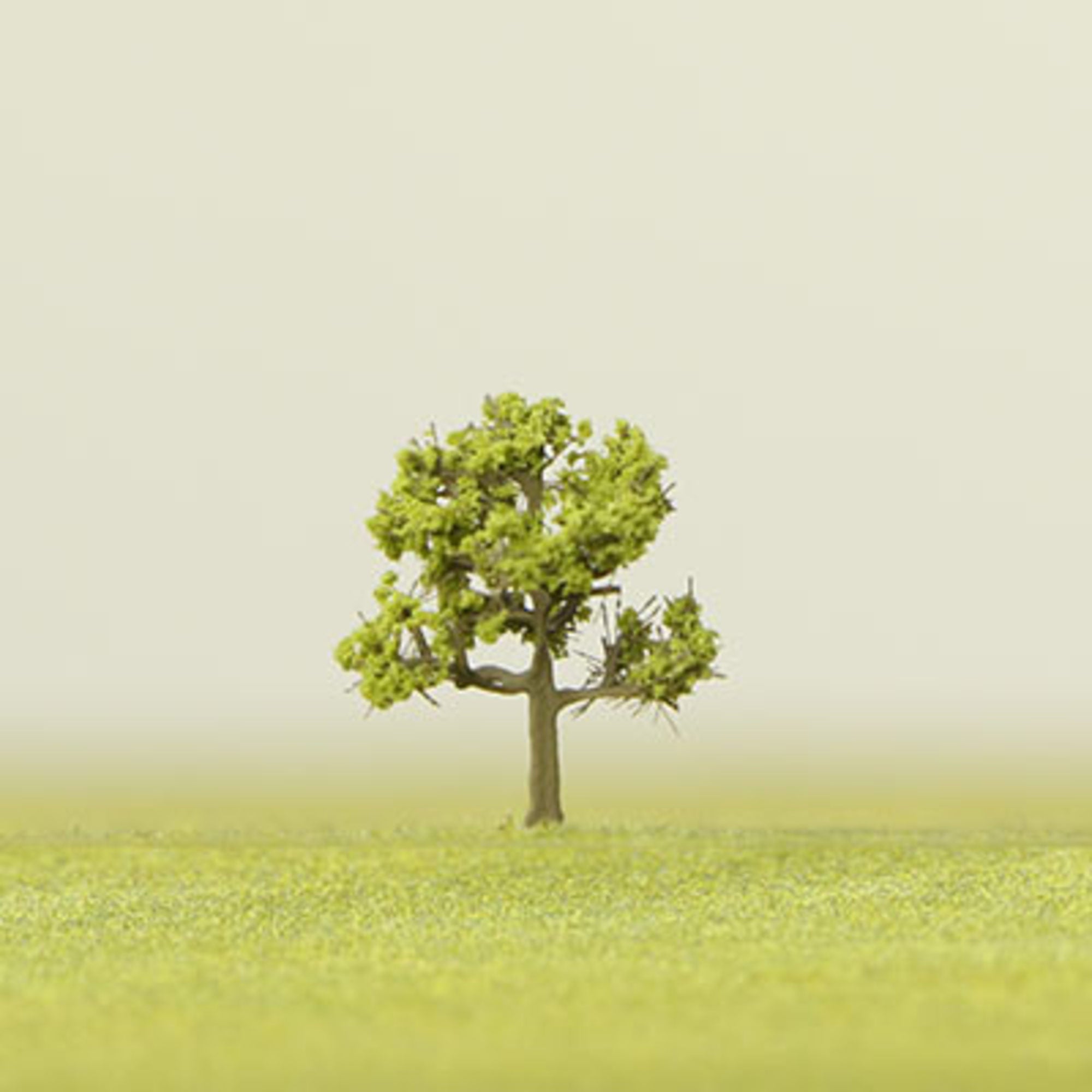 Medium Green Etched Tree - 6mm