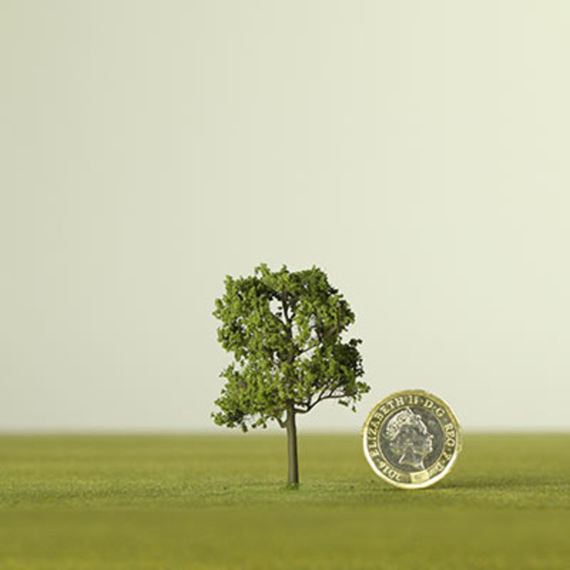 Medium Green Etched Tree - 6mm