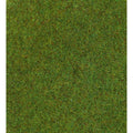 5546015-1 [file:5546015-1.jpg] Grass Mat