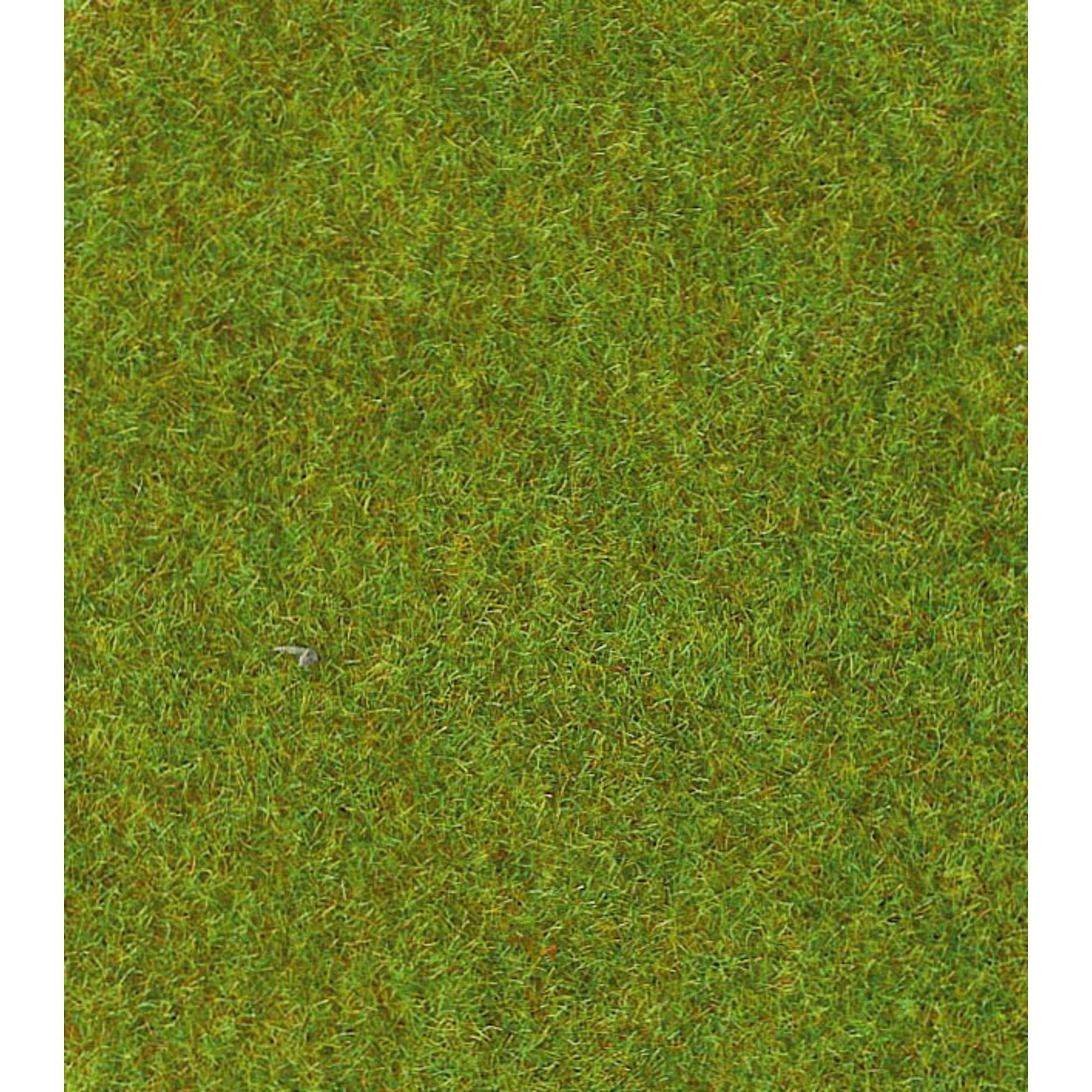 5546030 [file:5546030-1.jpg] Grassmat, Light Green, 300 x 100cm (30903)