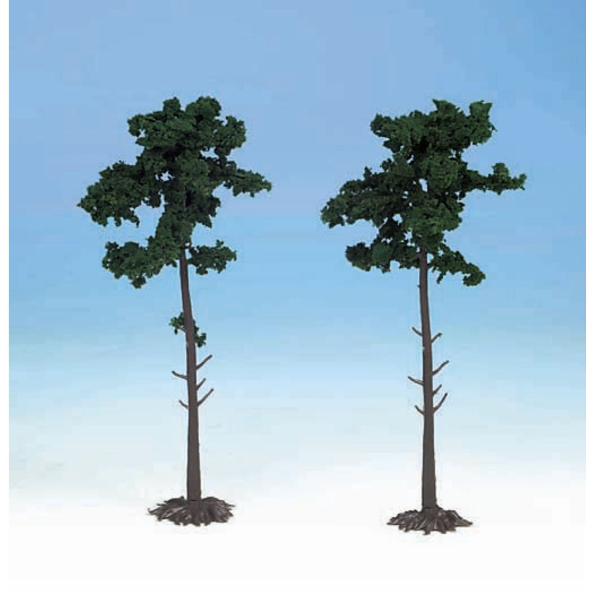 5546105-1 Scots Pine Trees 18cm (2 pcs) (1150)