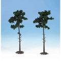 5546105-1 [file:5546105-1.jpg] Scots Pine Trees 18cm (2 pcs) (1150)