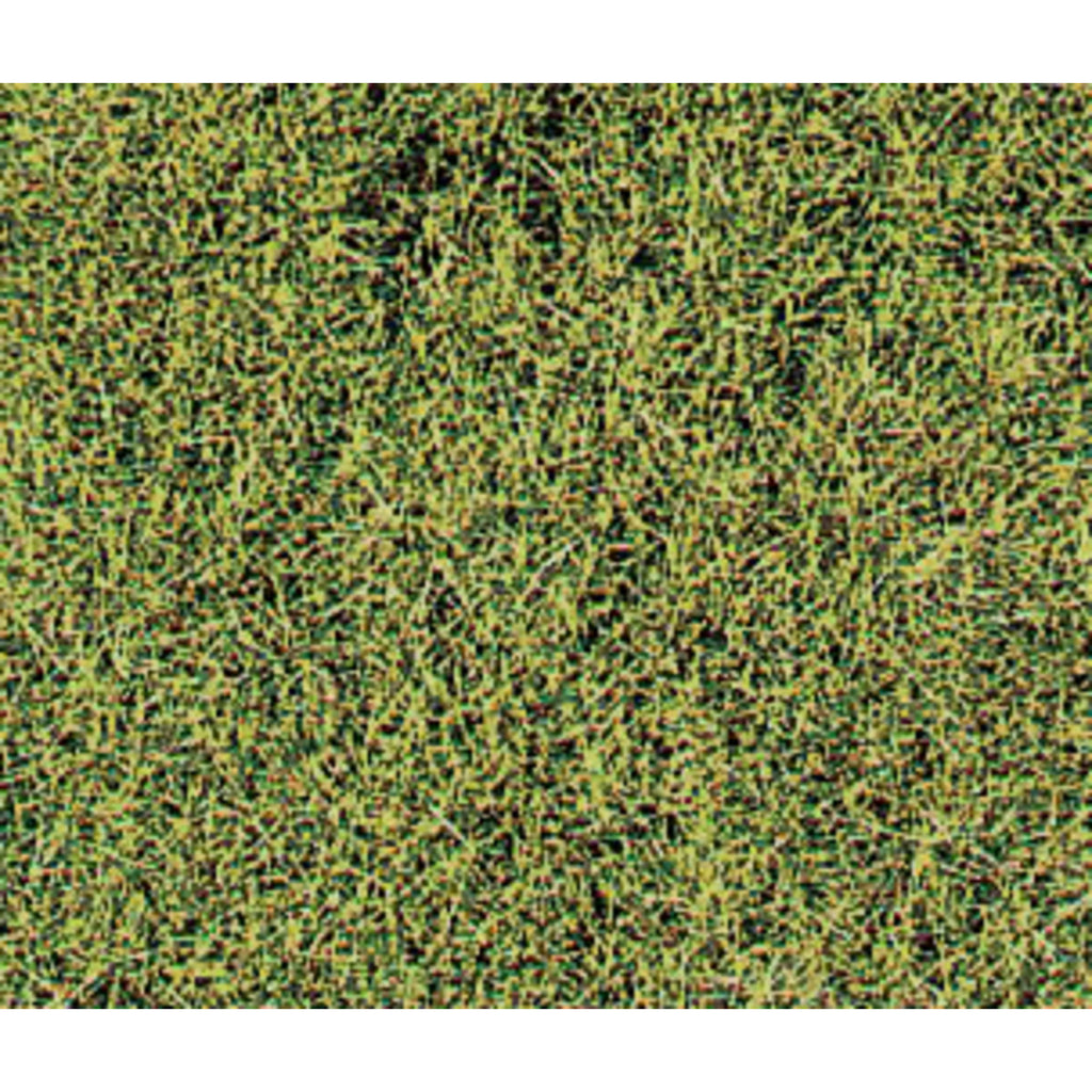 5546766-2 [file:5546766-2.jpg] Wild Grass Savanna (1574)
