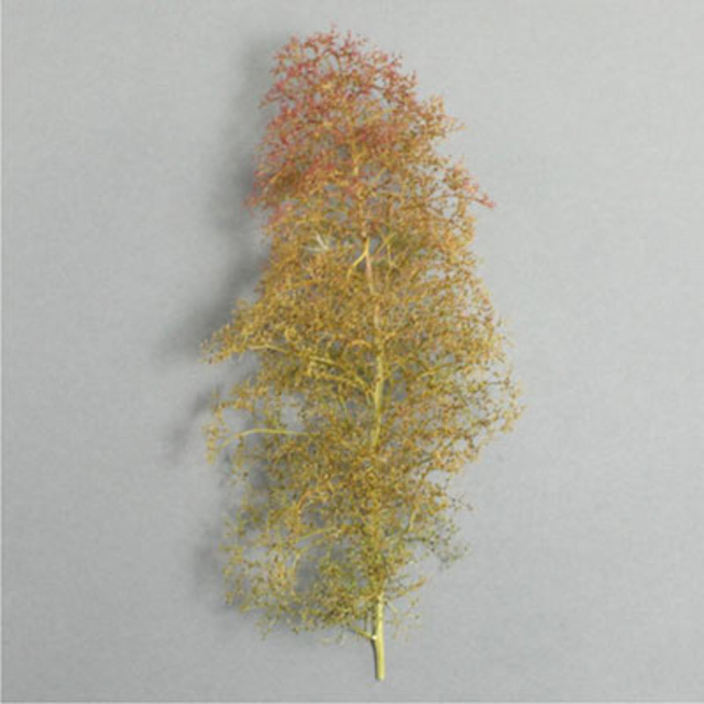 Seafoam trees - mixed box