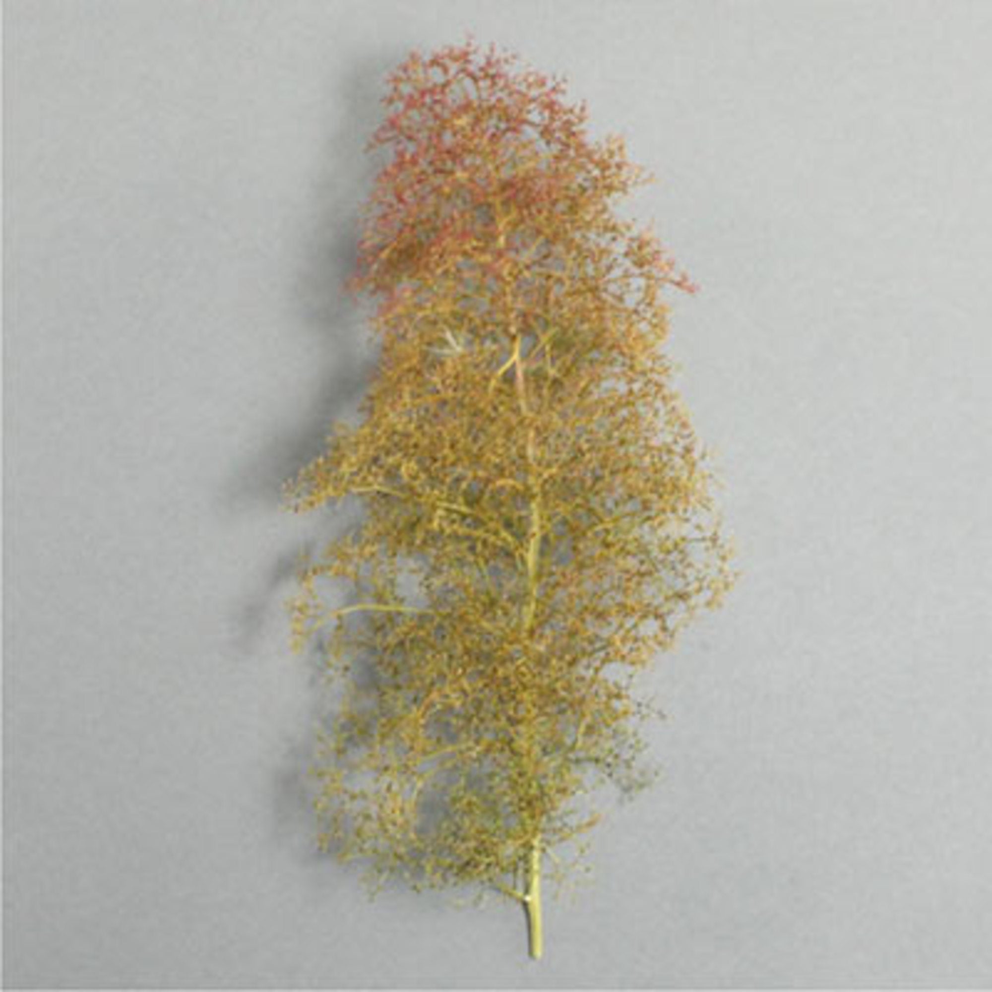 Seafoam trees - mixed box