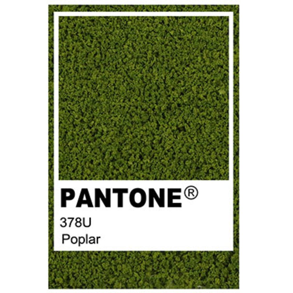 Poplar Green Model Tree - 0.30mm