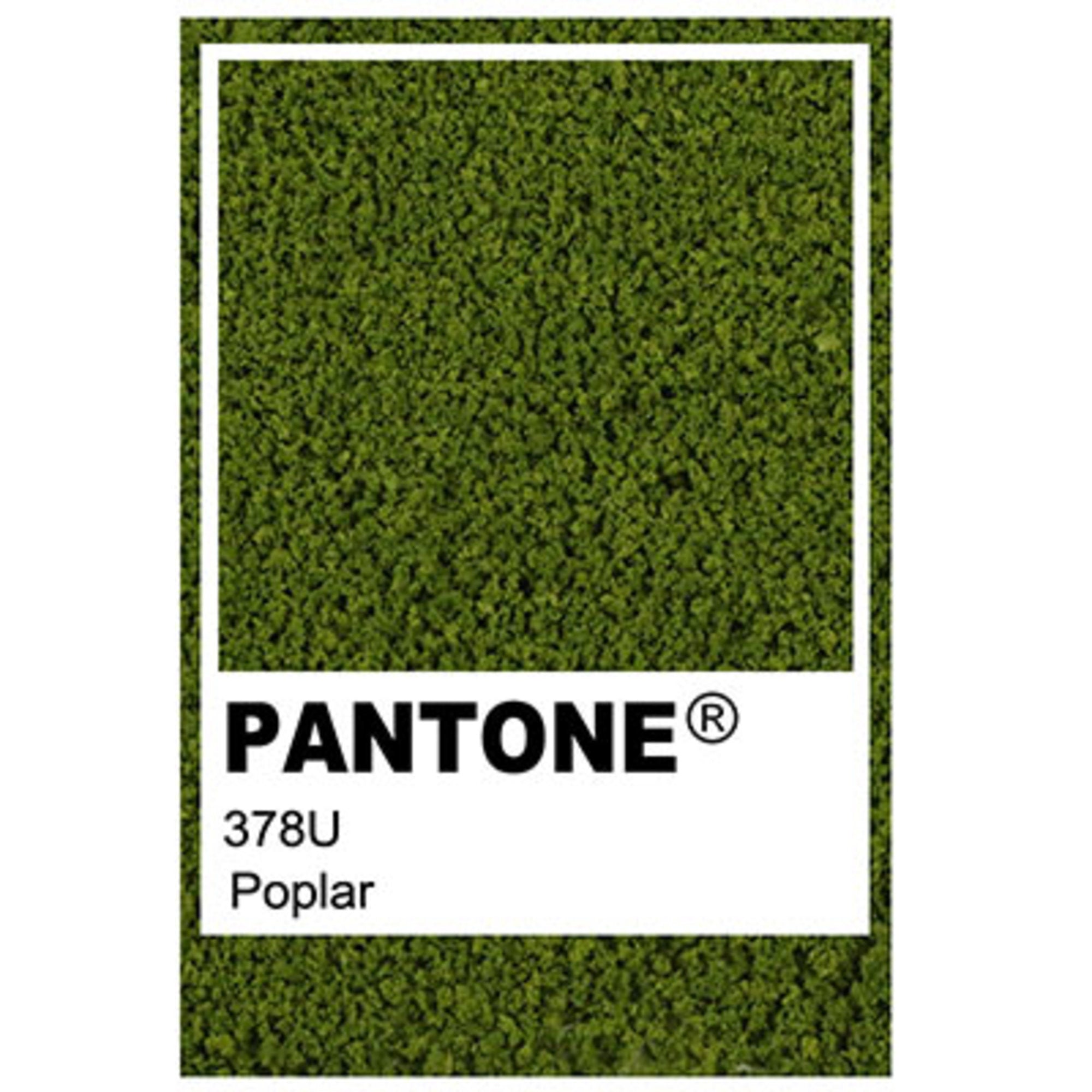 Poplar Green Model Tree - 0.30mm