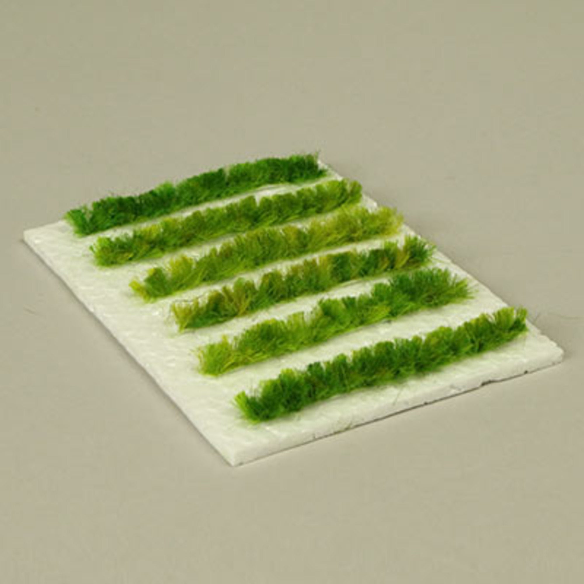 Pathway '5mm' (6 pcs) Light Green