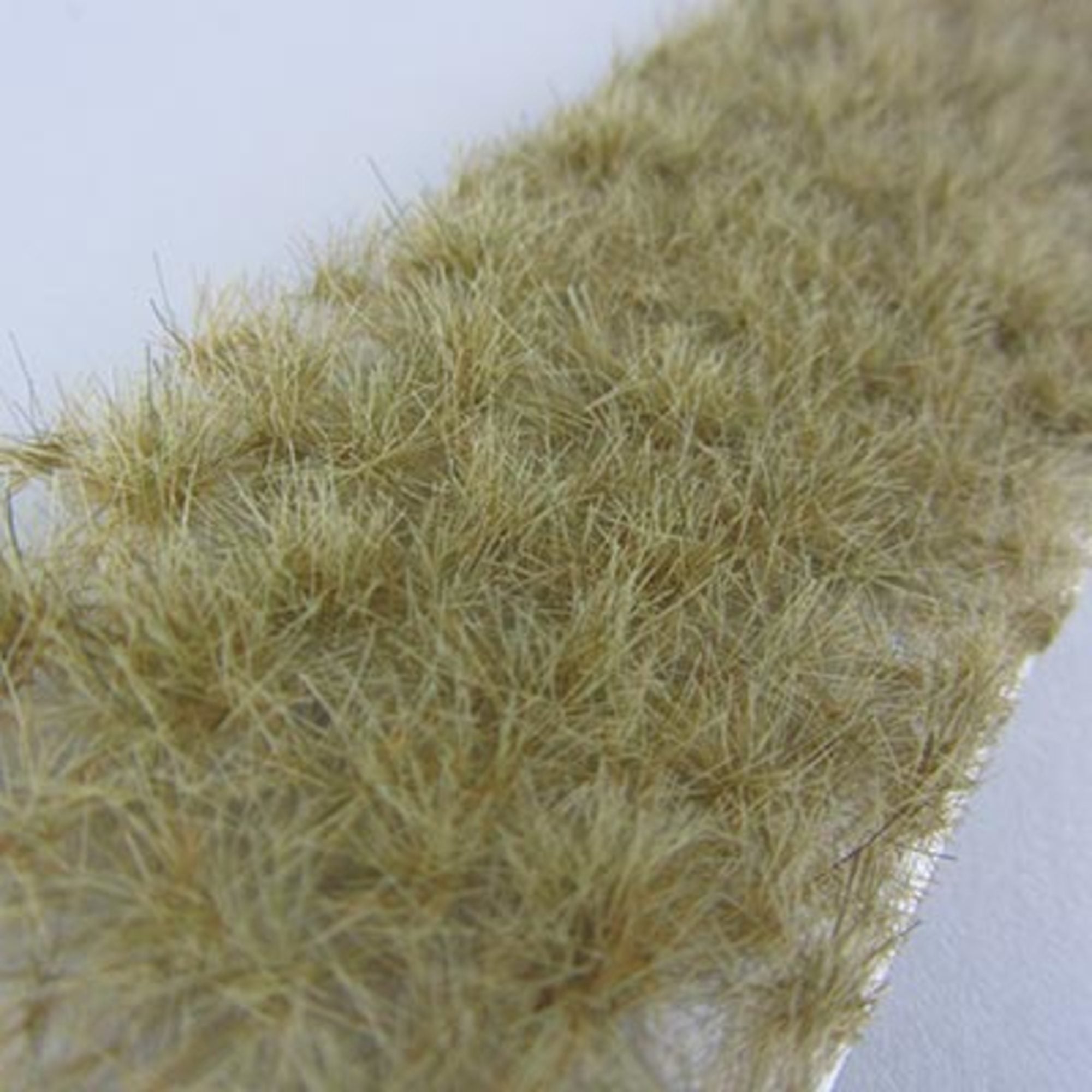 1:87 Calcareous Tufts Late Fall