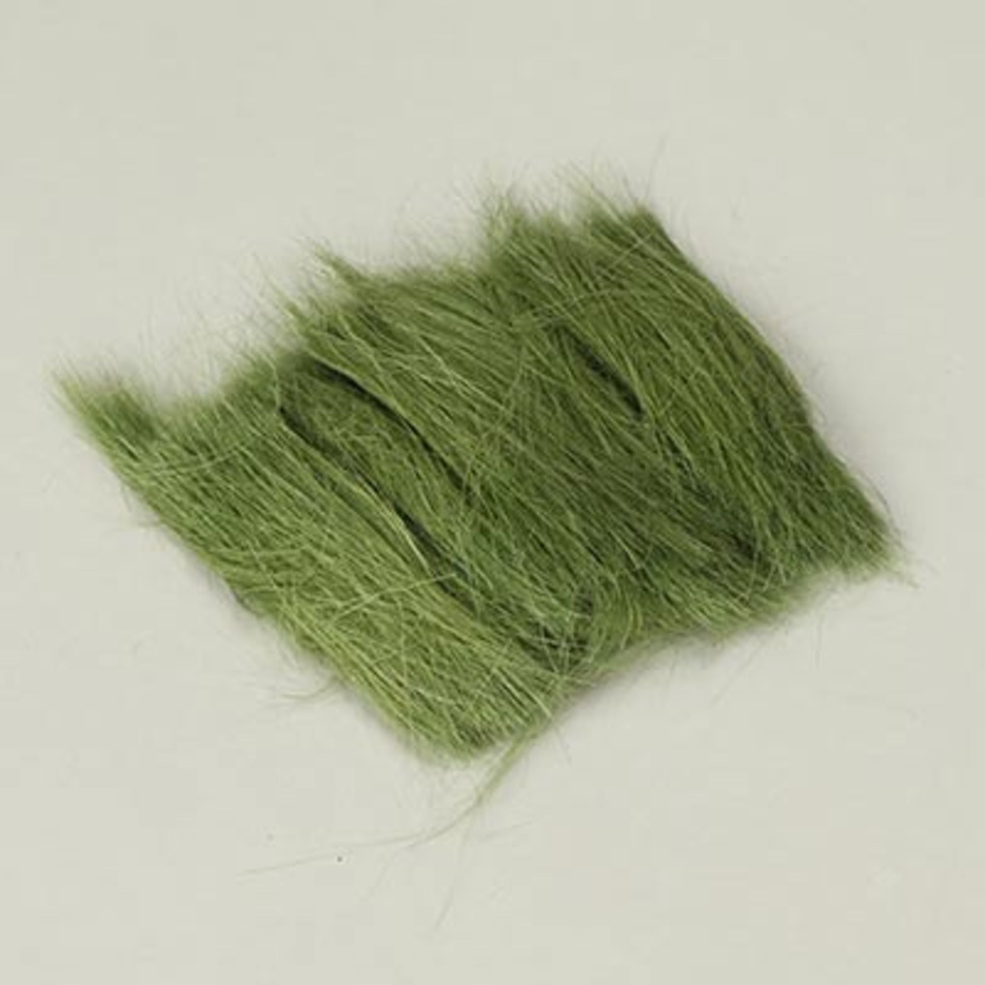Field Grass Medium Green