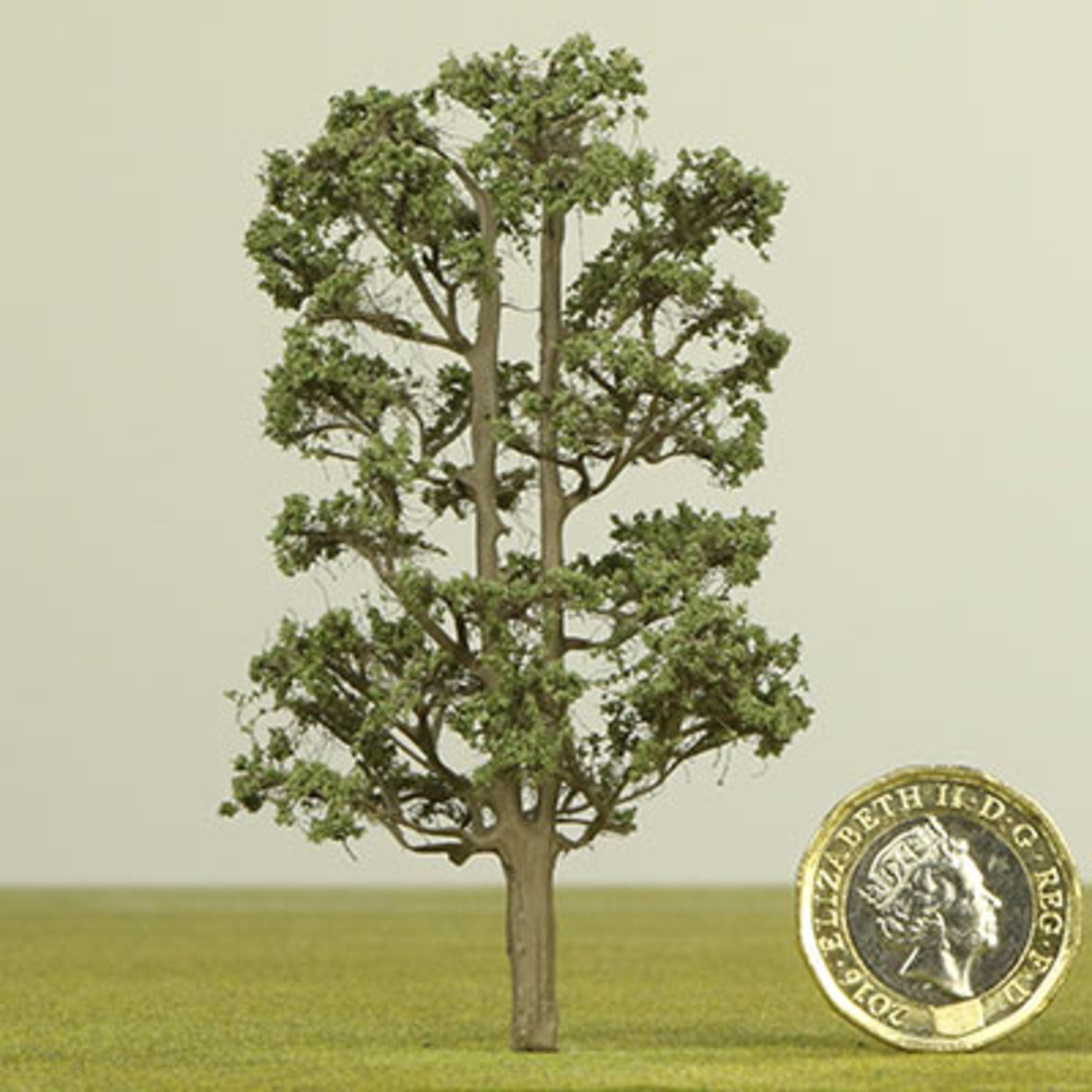 Lime model tree - 50mm