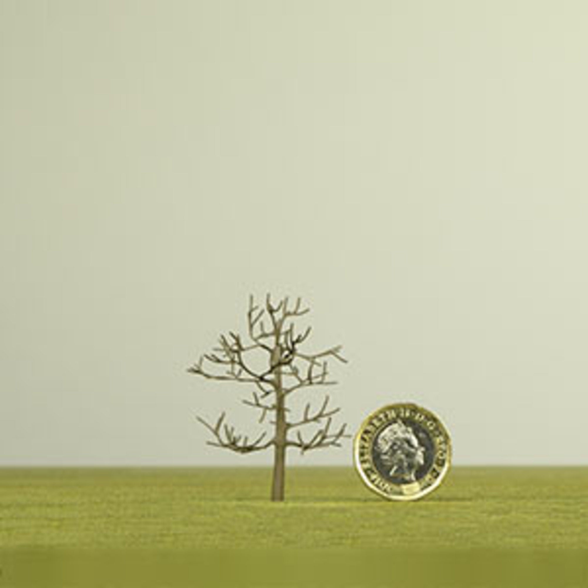 Bare branch trees - 15mm (Bag of 180)