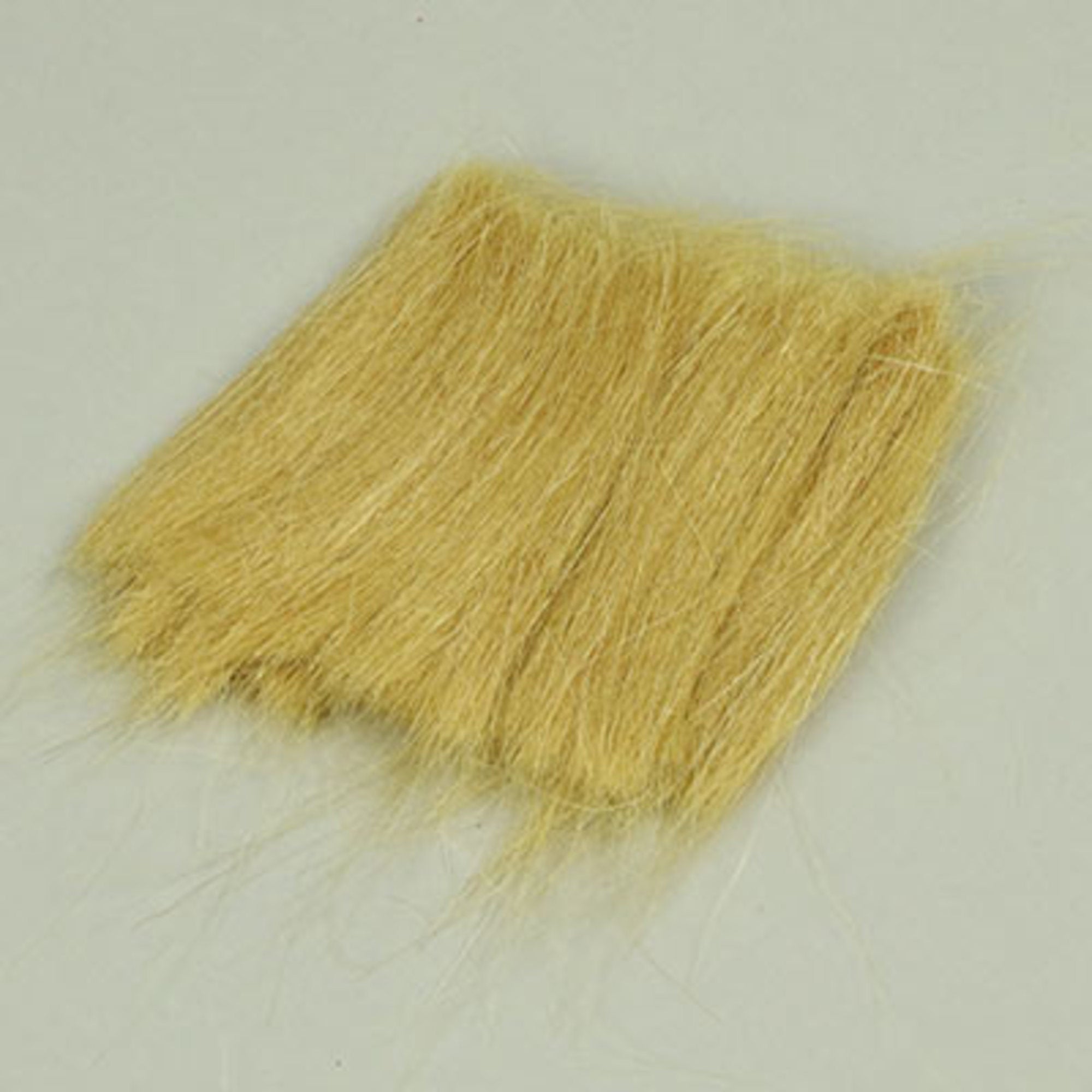 Field Grass Medium Green