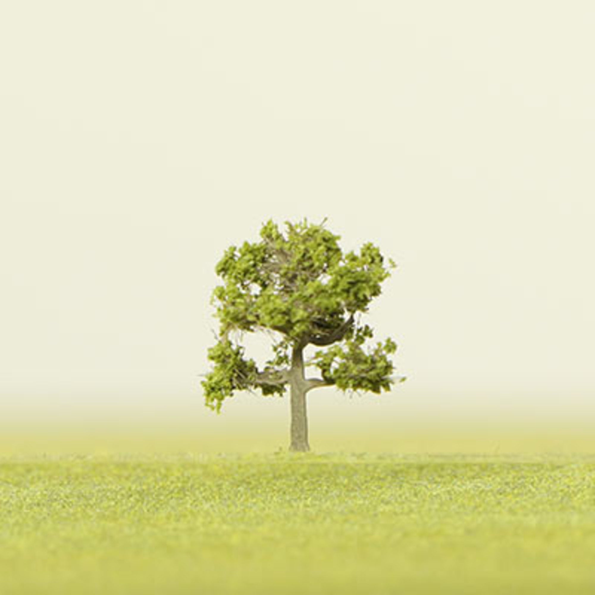 Light Green Etched Tree - 6mm