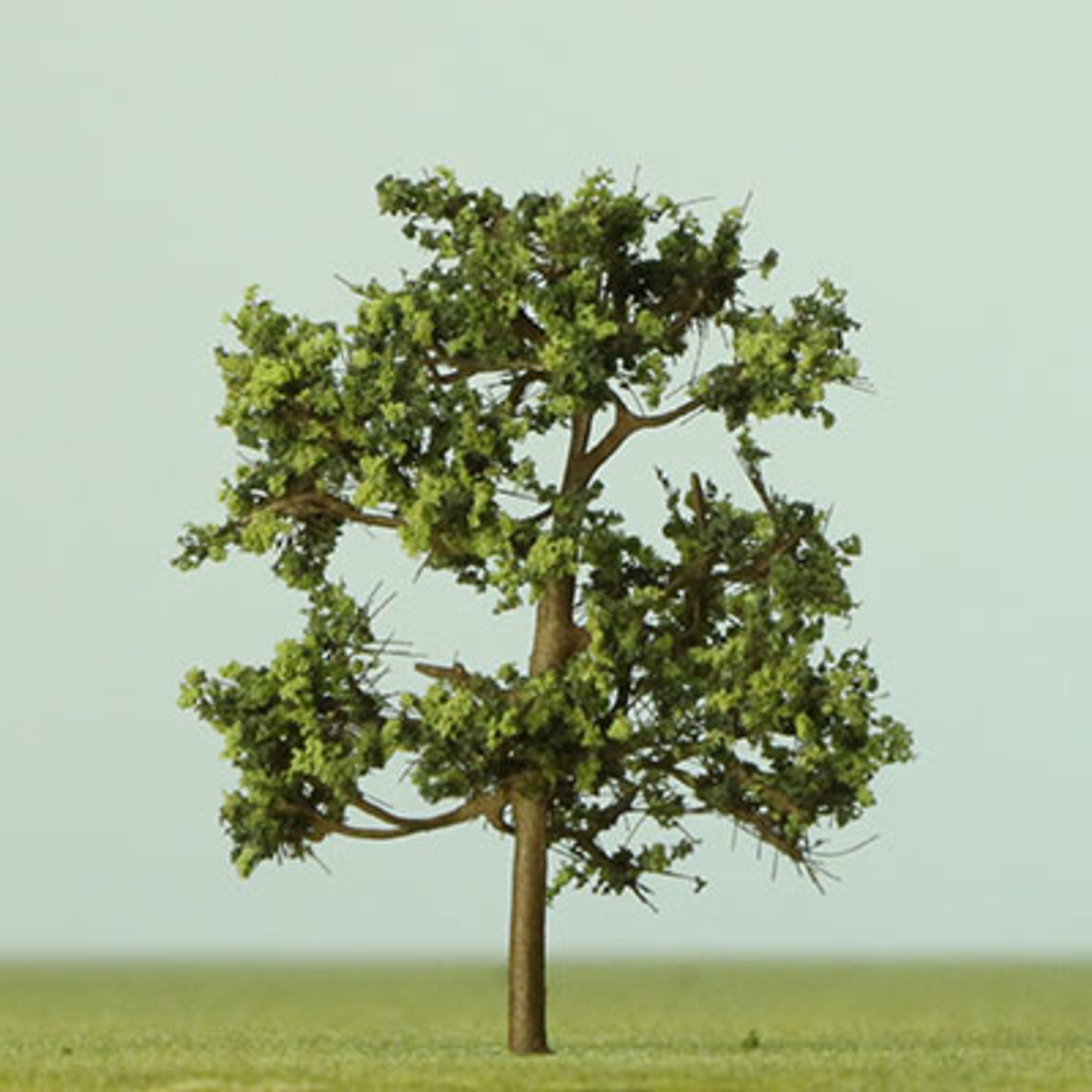 Dappled Green Etched Tree - 35mm