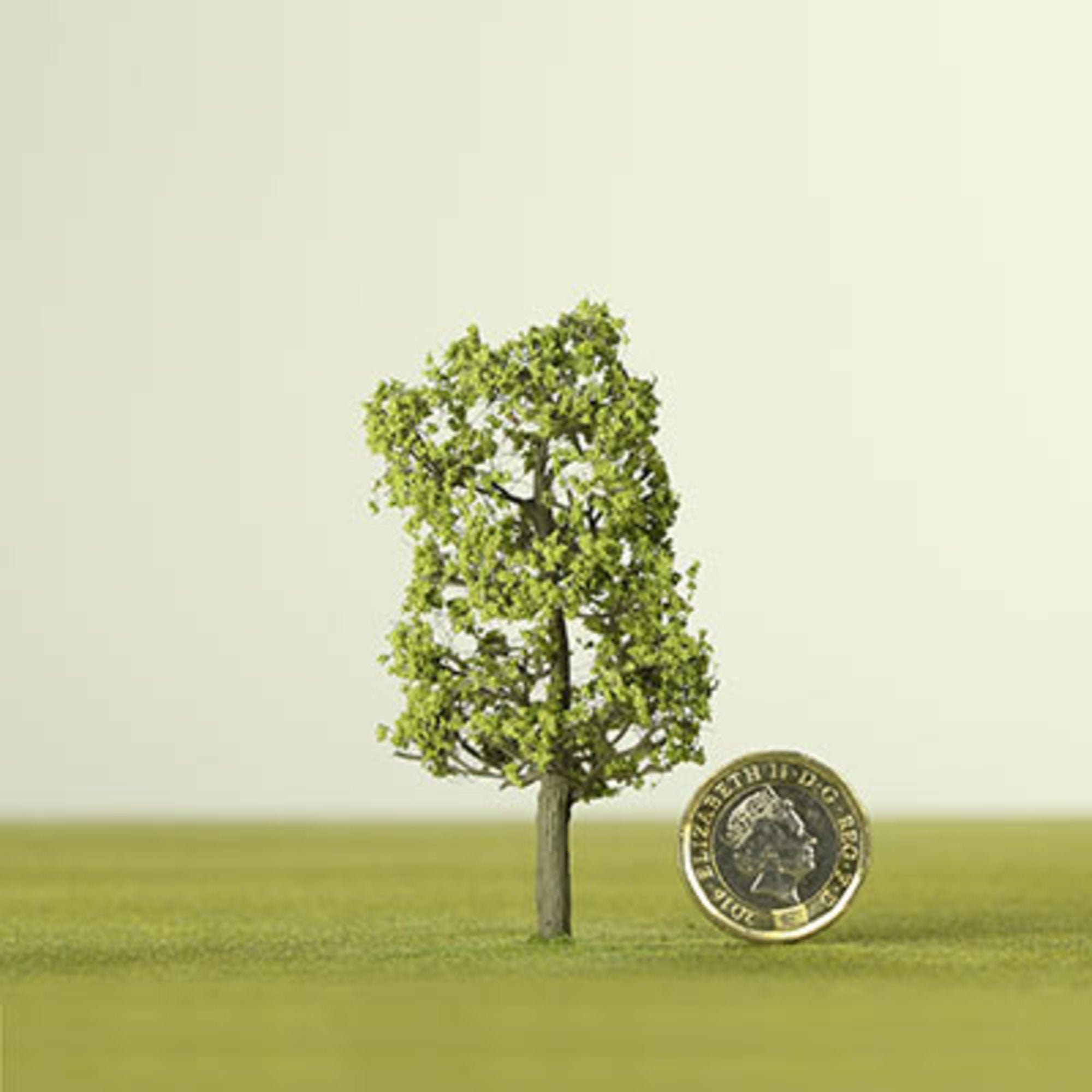 Light Green Etched Tree - 6mm