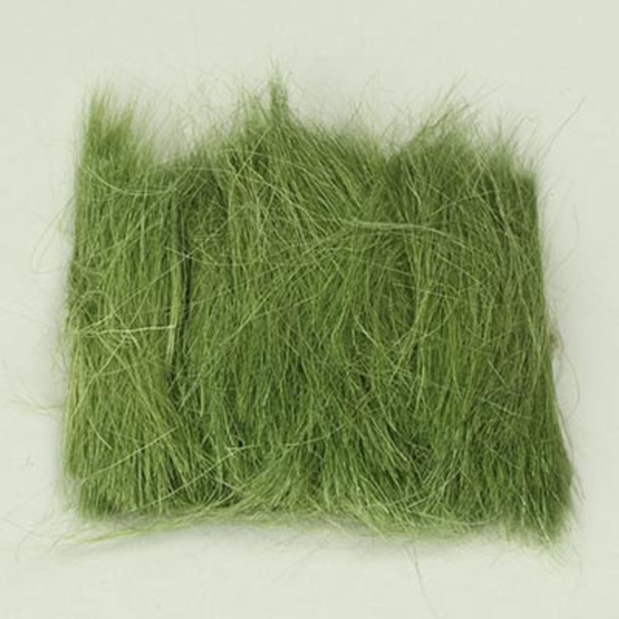Field Grass Medium Green