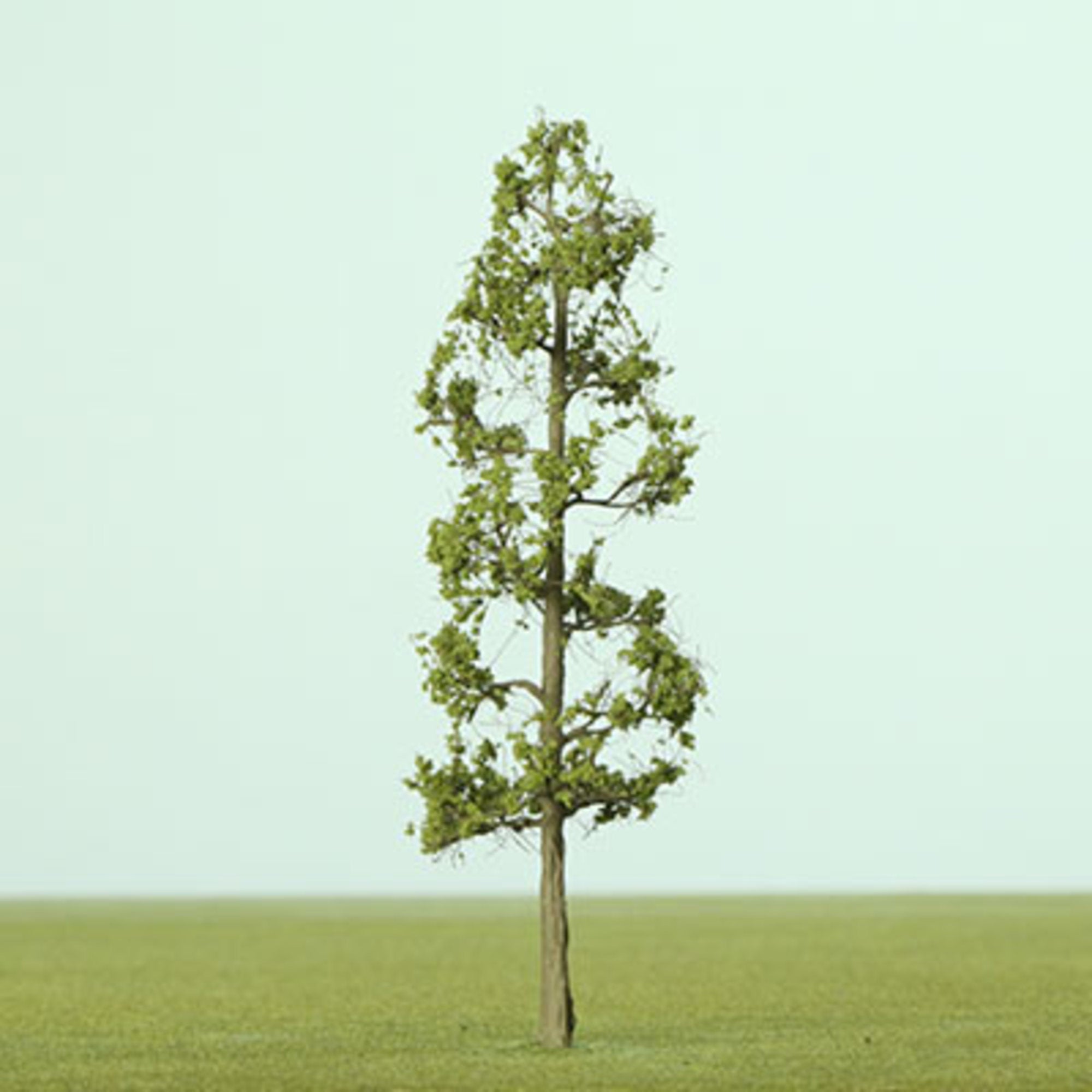 Light Green Narrow Etched Tree - 50mm