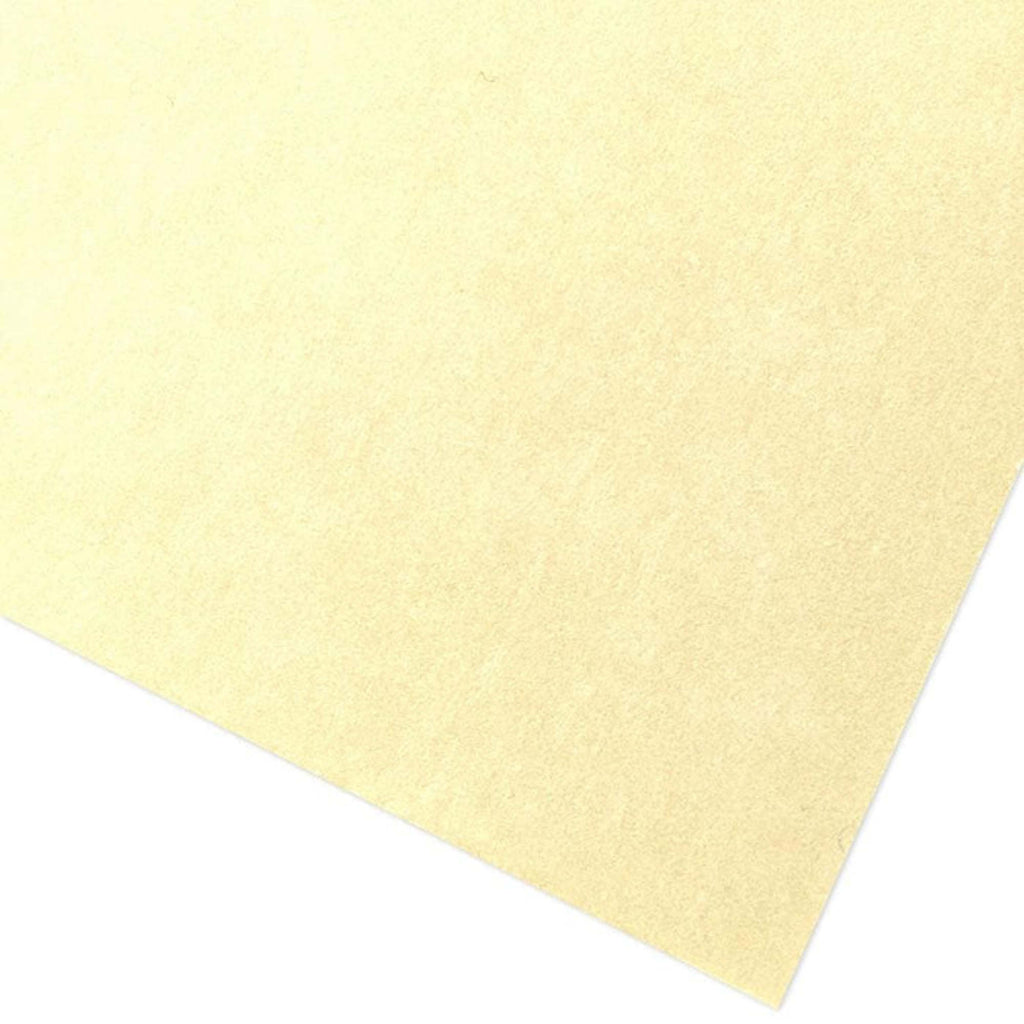 Polybak PB67 0.4  200  300mm