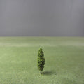 Poplar Green Model Tree - 0.30mm