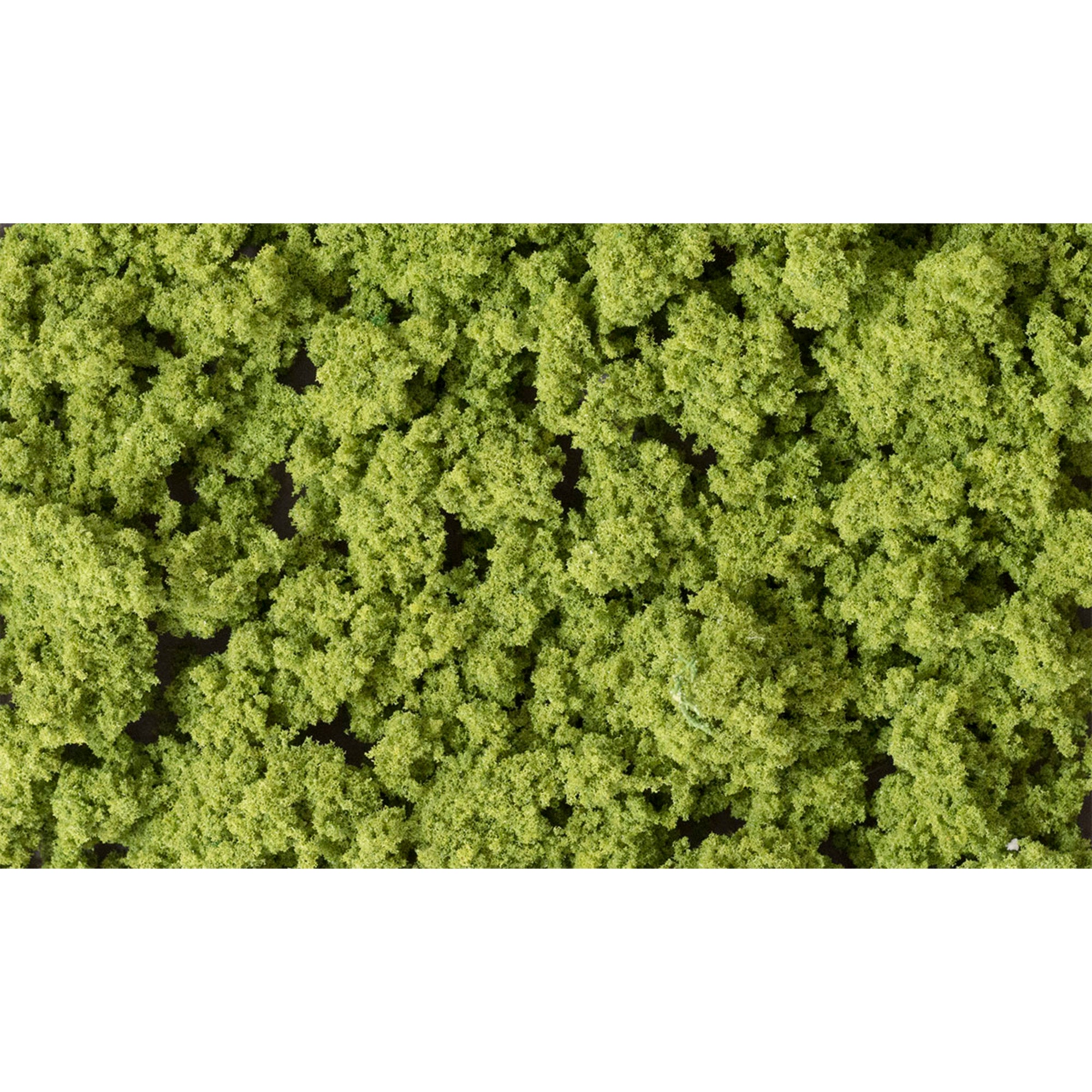 Clump Foliage Medium Green