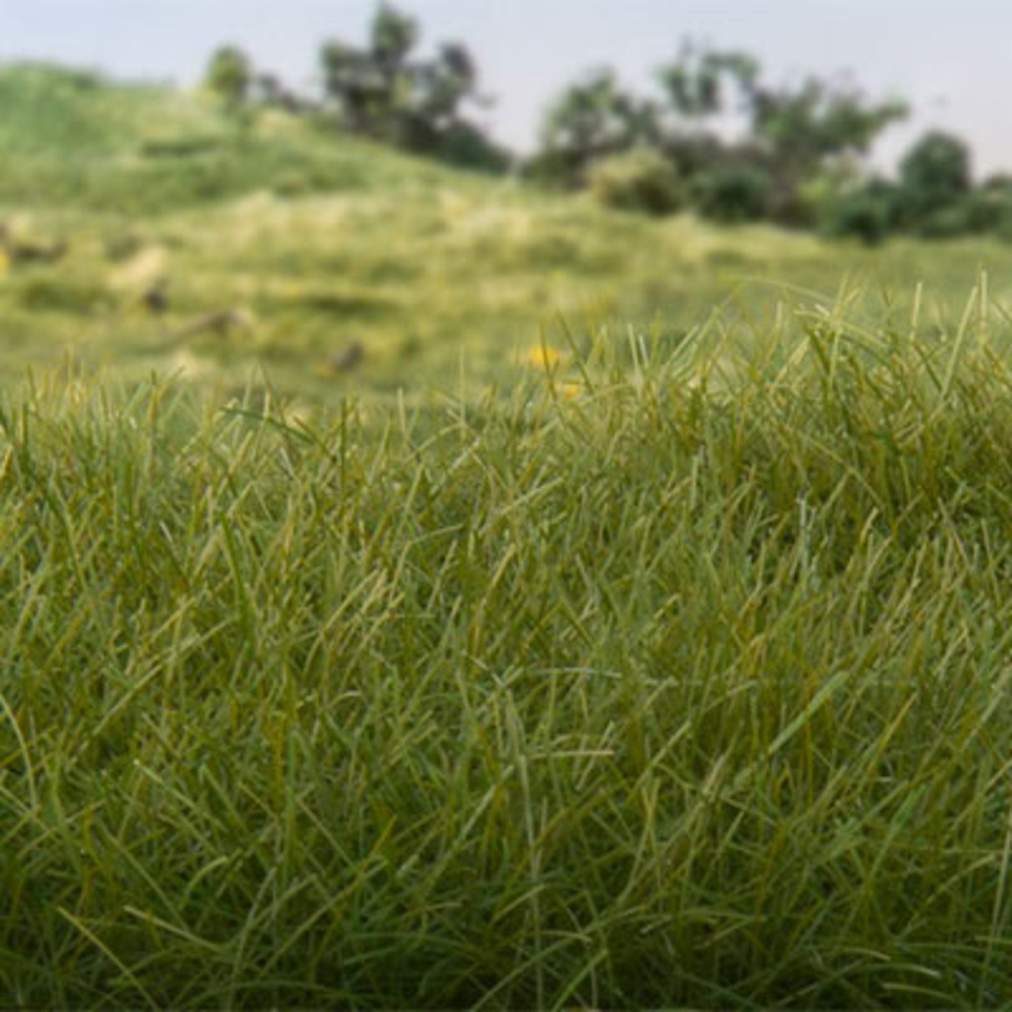 Static Grass Dark Green 2.0mm