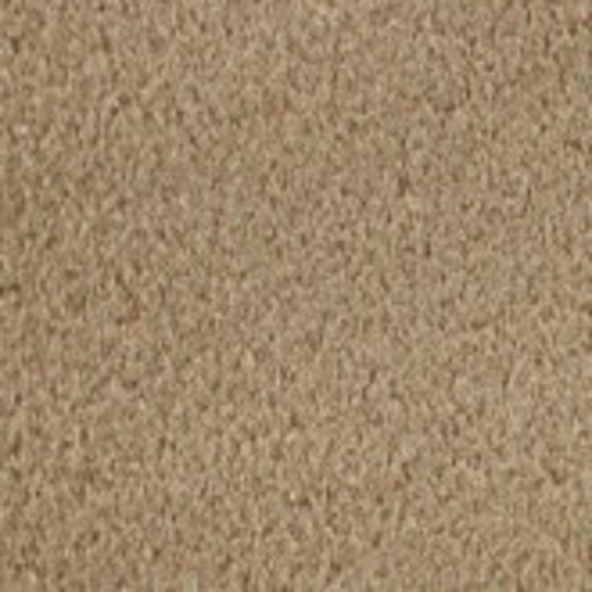 Carpet Bisque