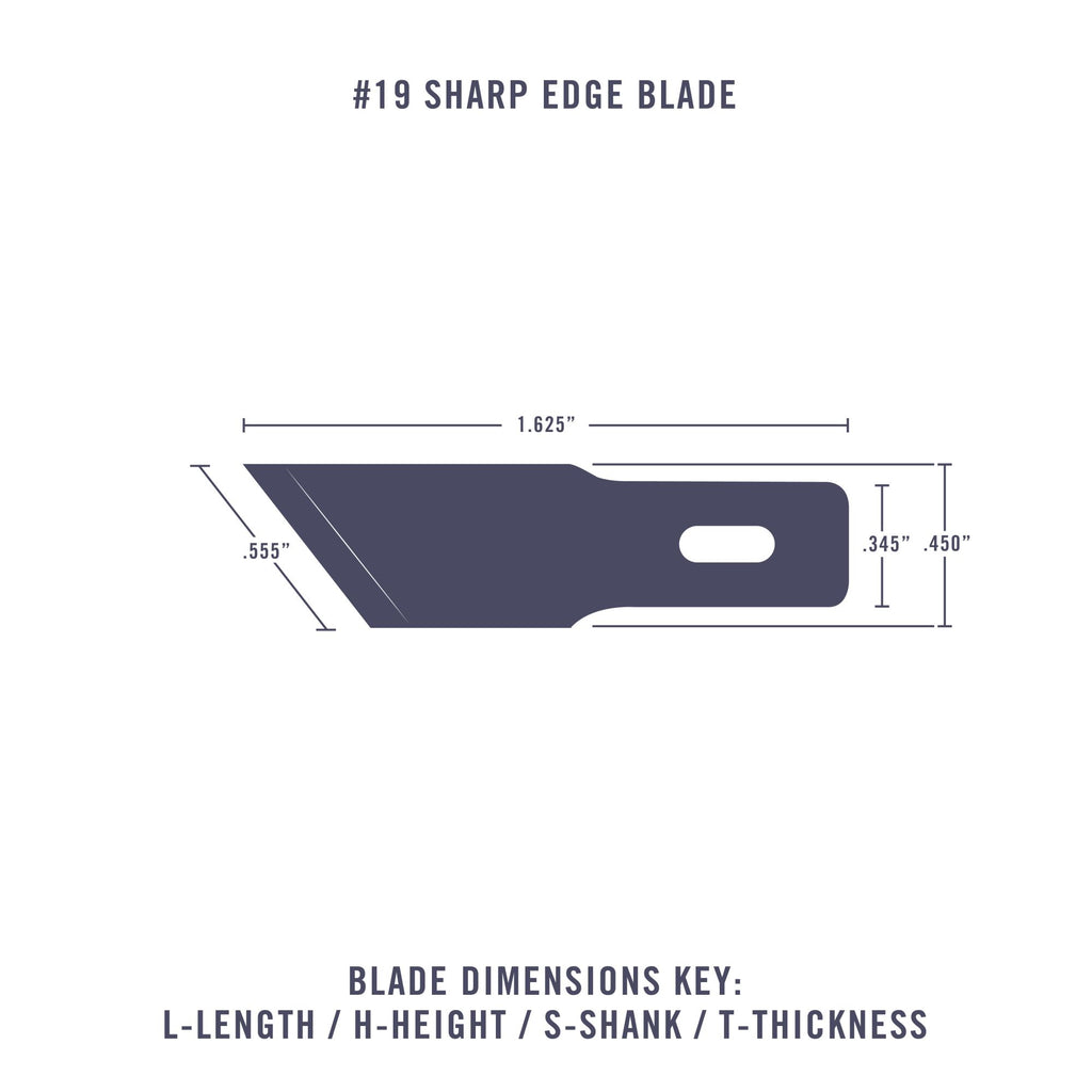 EXL20019-3 [file:EXL20019-3.jpg] #19 Angled Edge Blade