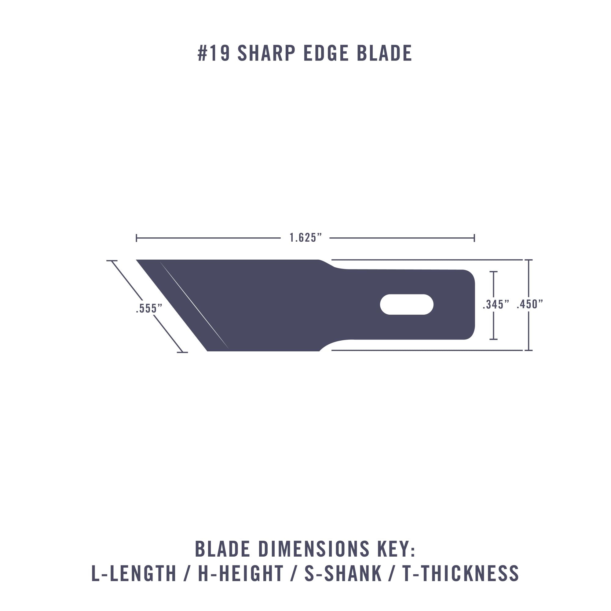 EXL20019-3 [file:EXL20019-3.jpg] #19 Angled Edge Blade