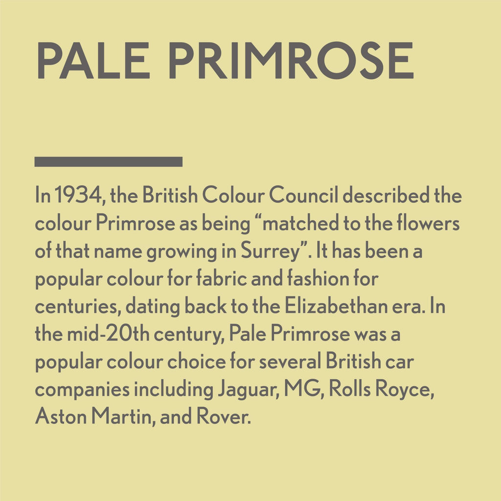 GLDJ101028-9 [file:GLDJ101028-9.jpg] Jubilee Maker Paint, Pale Primrose