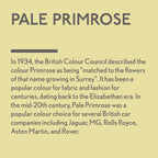 GLDJ101028-9 [file:GLDJ101028-9.jpg] Jubilee Maker Paint, Pale Primrose