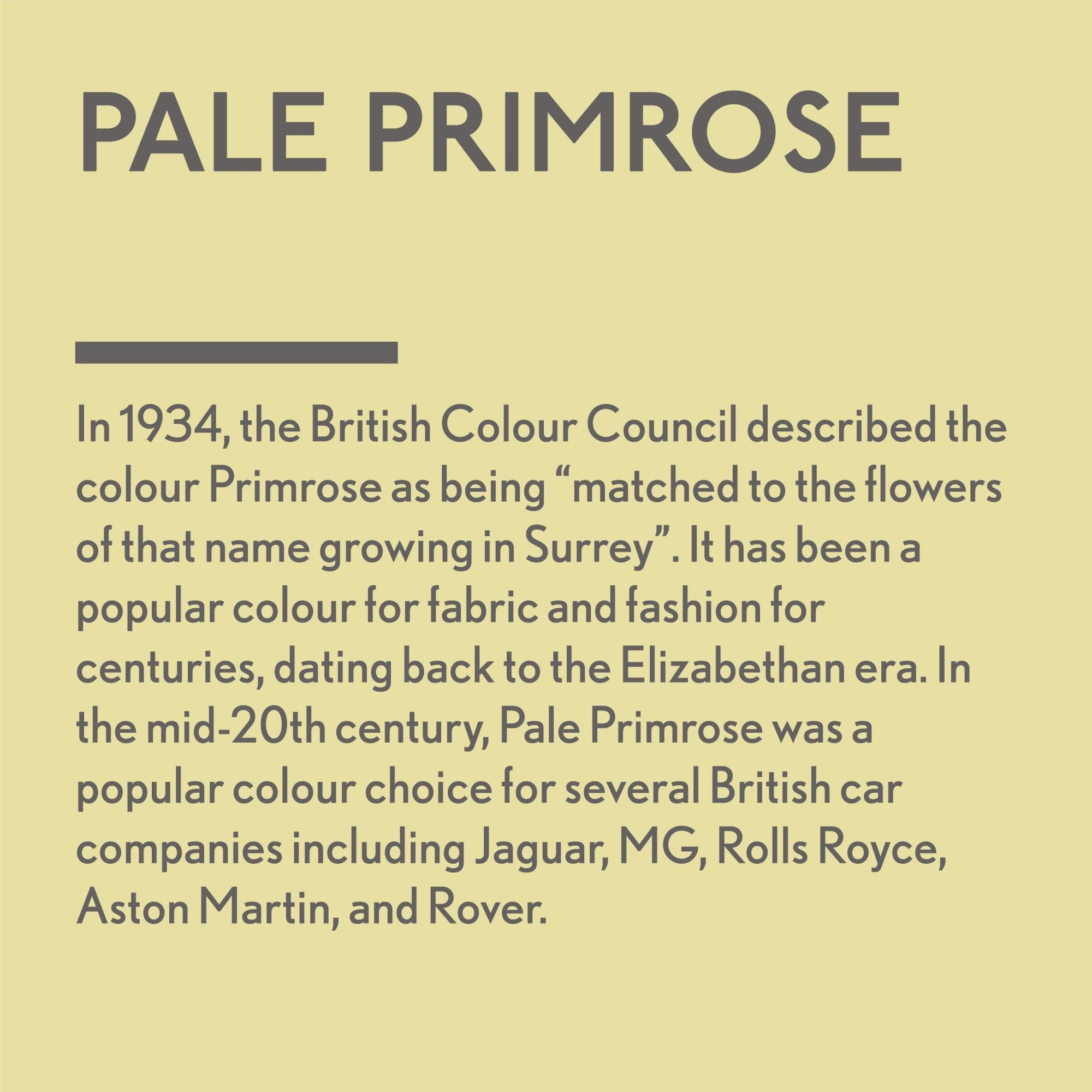 GLDJ101028-9 [file:GLDJ101028-9.jpg] Jubilee Maker Paint, Pale Primrose