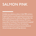 GLDJ101034-9 [file:GLDJ101034-9.jpg] Jubilee Maker Paint, Salmon Pink