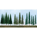 JTT92117-1 [file:JTT92117-1.jpg] HO-N Pine Conifer Spruce Tree