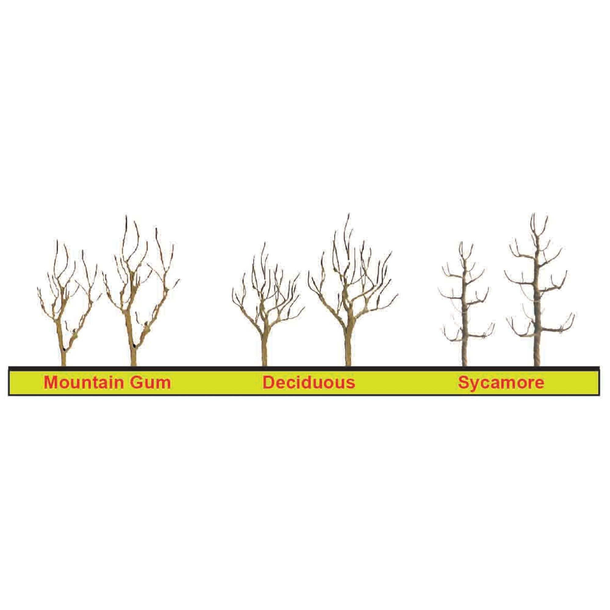 JTT94124-1 1.5-4in Sycamore Tree Armature