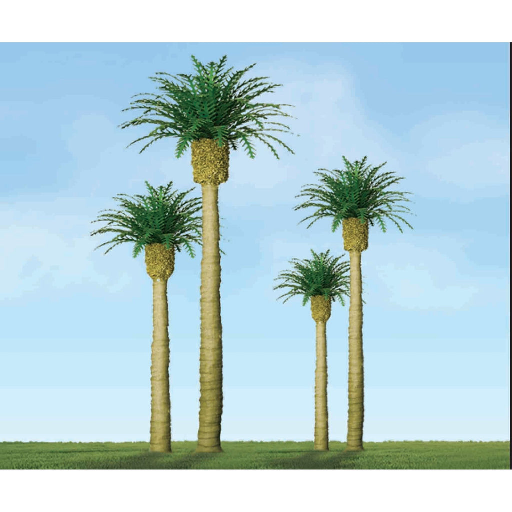 JTT94354 [file:JTT94354-1.jpg] Phoenix Palm, 3in, (3 pcs)