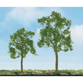 Ash Tree, 3in, (2 pcs)