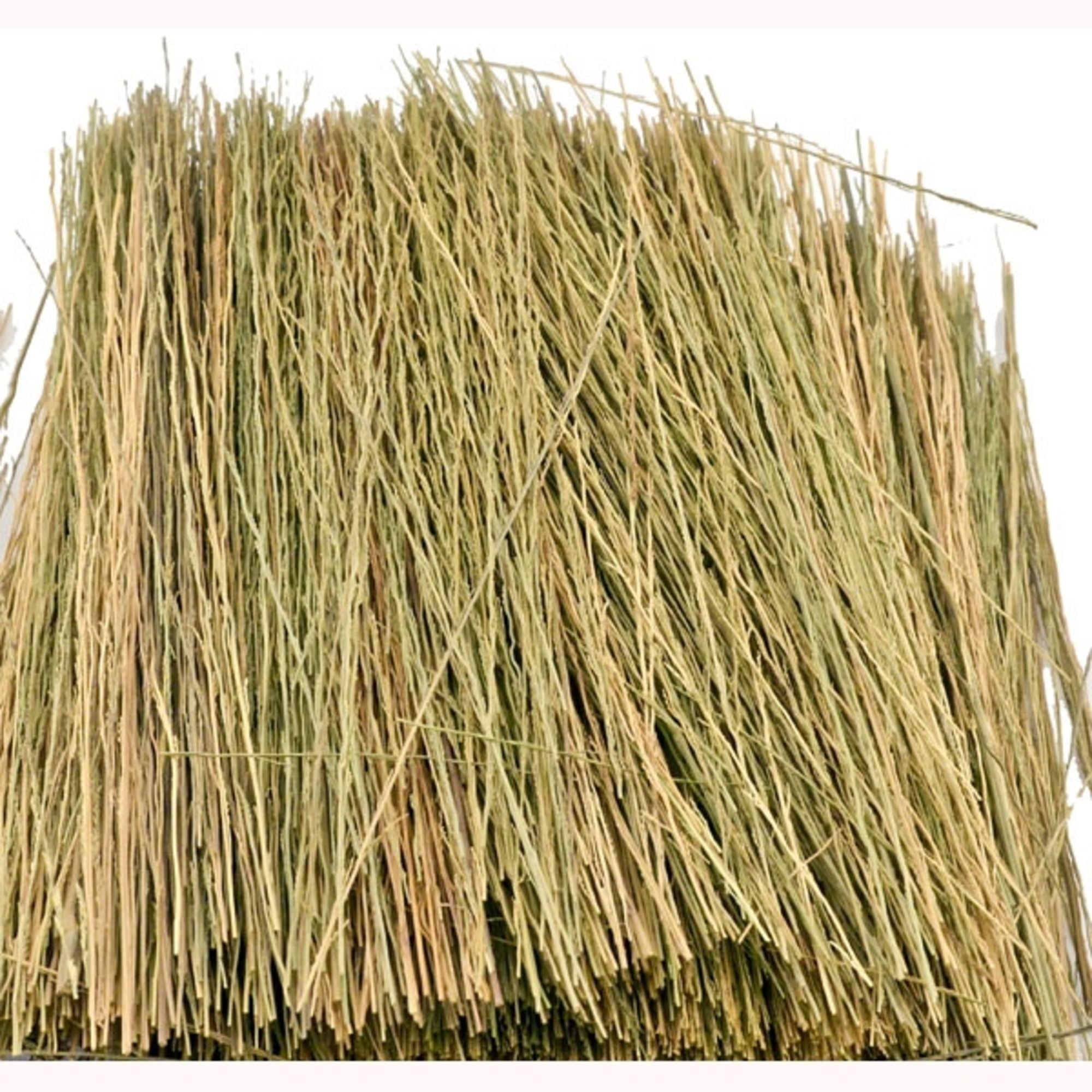 Field Grass, Natural Brown (15 grams)