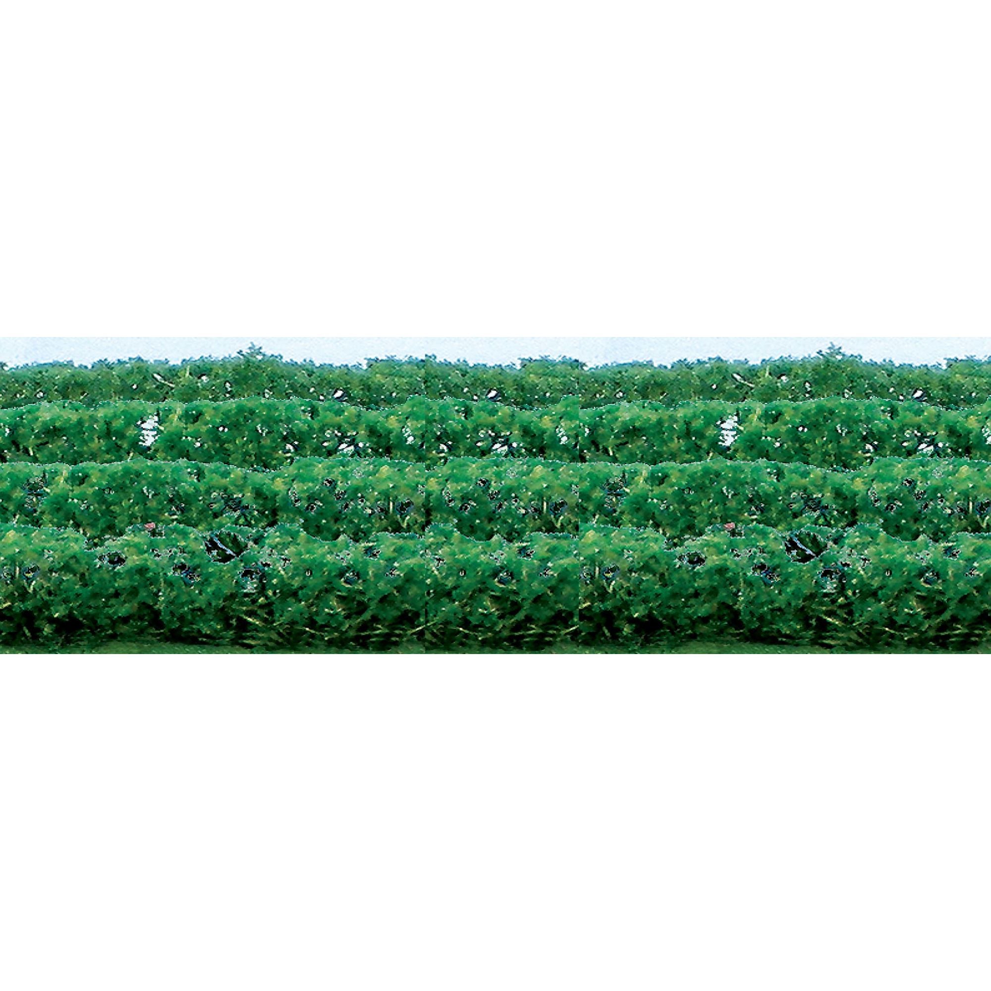 JTT95515 [file:JTT95515-1.jpg] Flower Hedges, 5x3/8x5/8in, HO-Scale, (8 pcs)