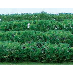 JTT95515-2 [file:JTT95515-2.jpg] Flower Hedges, 5x3/8x5/8in, HO-Scale, (8 pcs)