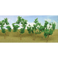 JTT95518-1 [file:JTT95518-1.jpg] Light Green Branches, 1.5in to 3in, (60 pcs)