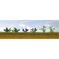 JTT95557-1 [file:JTT95557-1.jpg] O-HO Scale Assorted Flower Plants 1