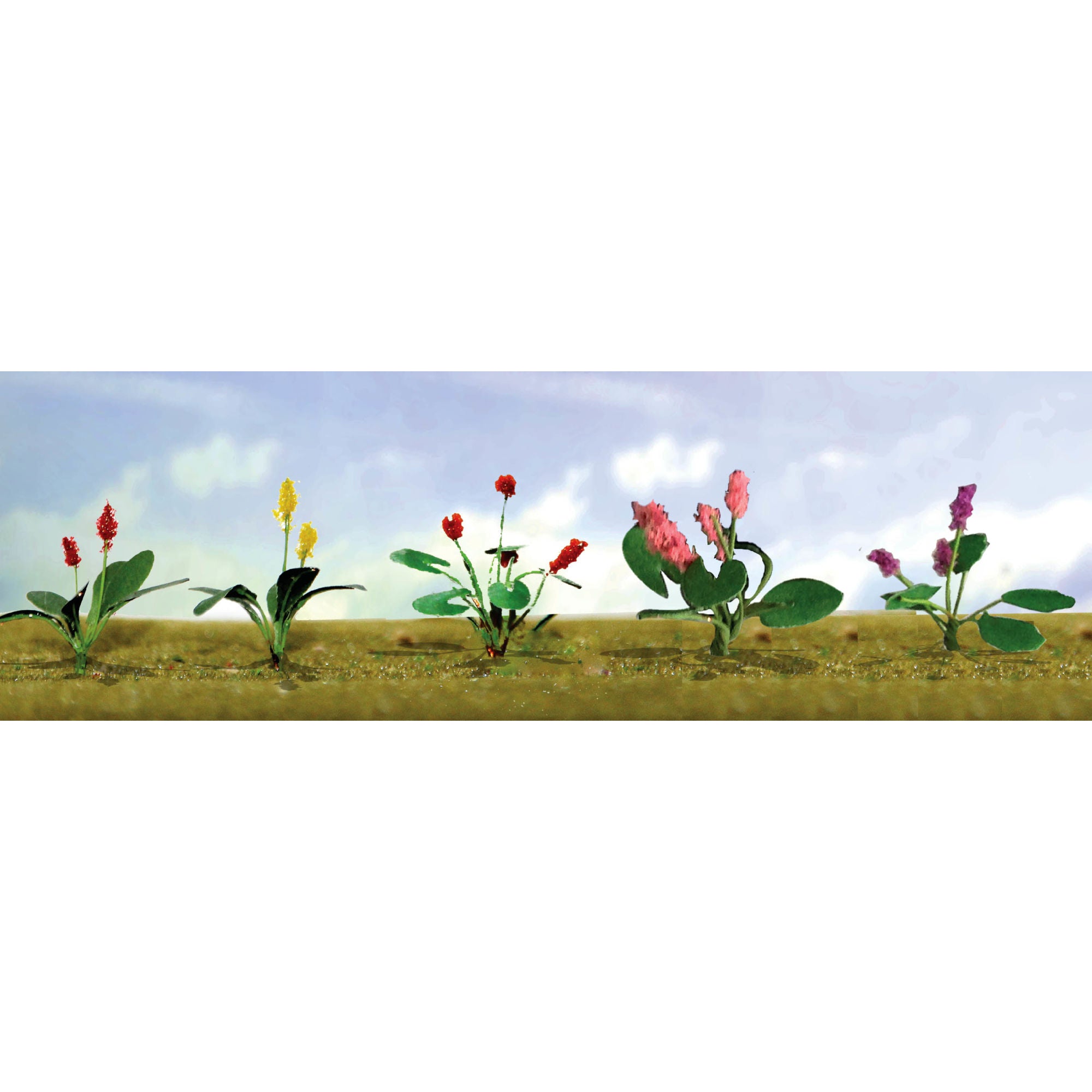 JTT95561 [file:JTT95561-1.jpg] Assorted Flower Plants 3, HO-Scale, (12 pcs)