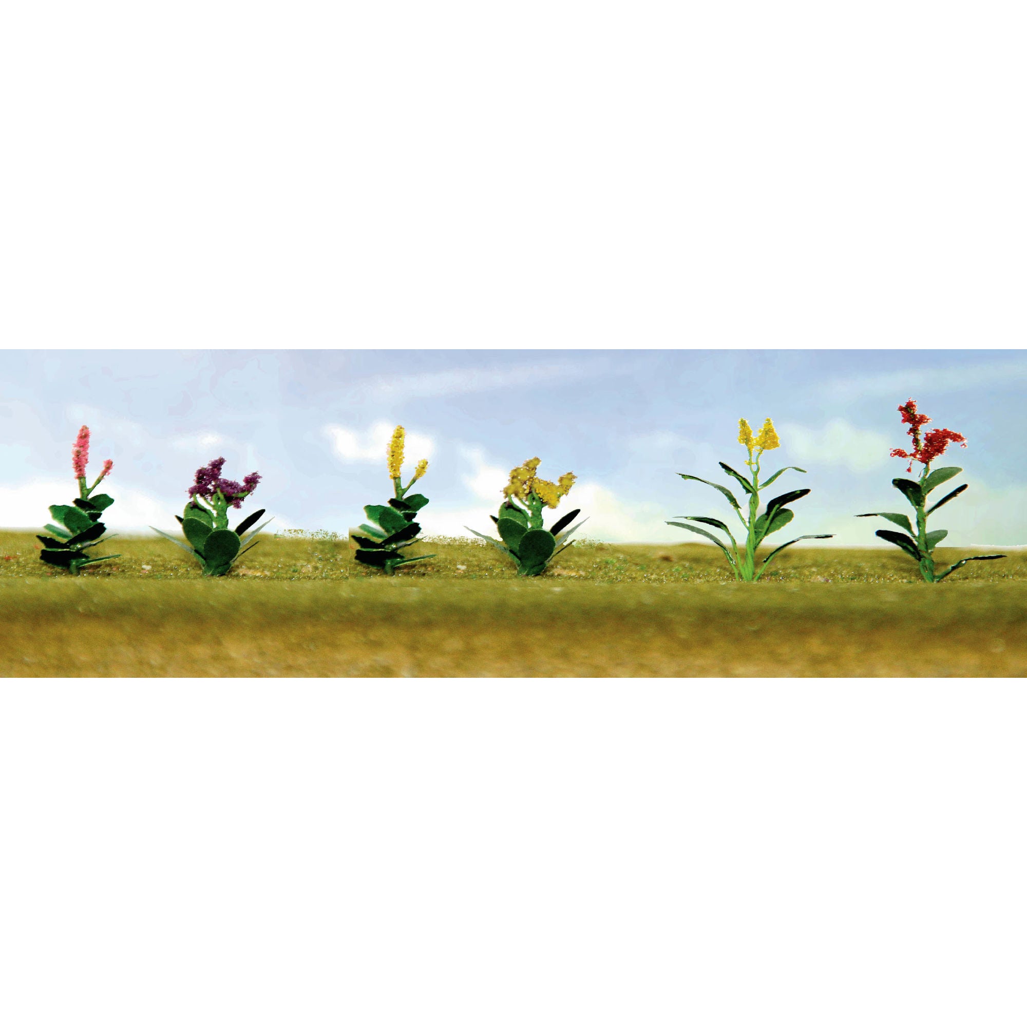 JTT95563 [file:JTT95563-1.jpg] Assorted Flower Plants 4, HO-Scale, (12 pcs)