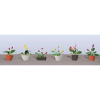 JTT95569-2 [file:JTT95569-2.jpg] O-HO Scale Assorted Potted Flower Plants 3