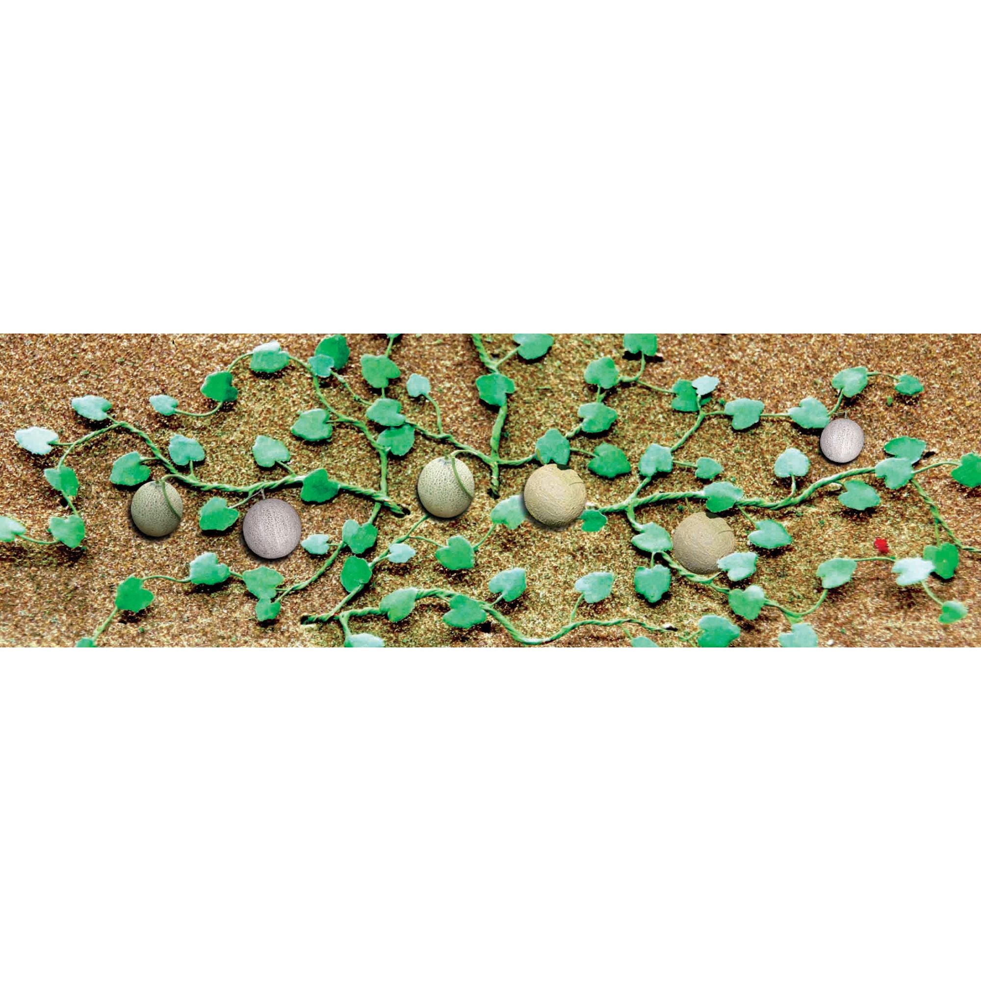 JTT95573 [file:JTT95573-1.jpg] Cantaloupe Patch, HO-Scale, (6 pcs)