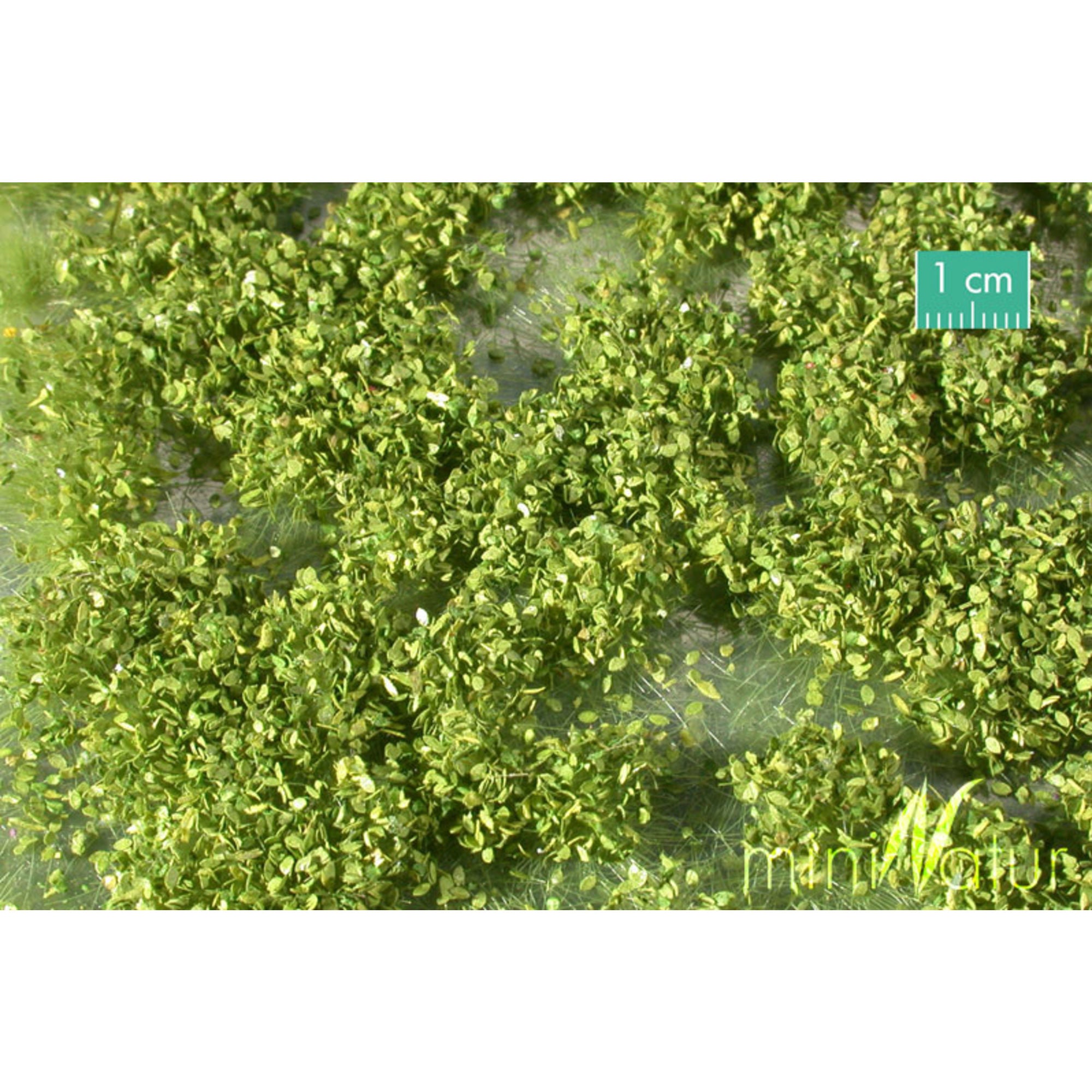 Weed Tufts, Spring