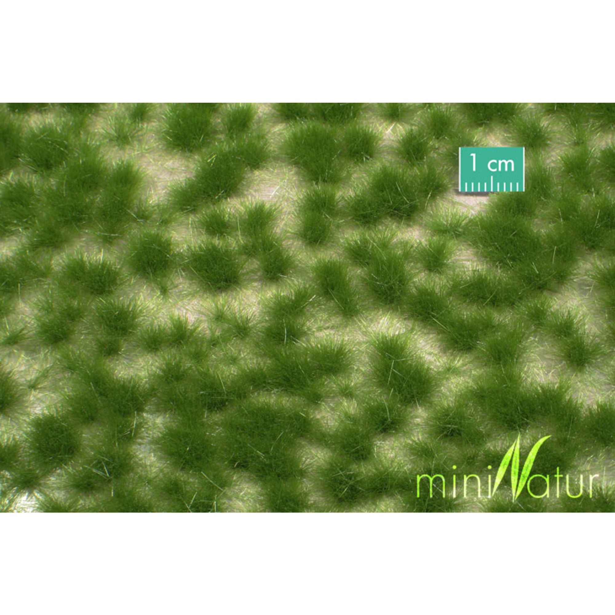 Grass Tufts, Long, Summer